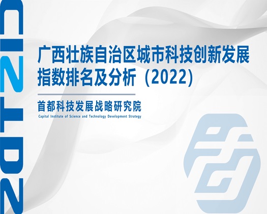 A片日B【成果发布】广西壮族自治区城市科技创新发展指数排名及分析（2022）